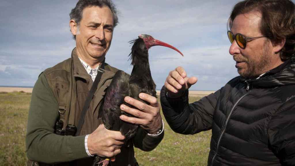 Quevedo y Rábago, con el ibis eremita.