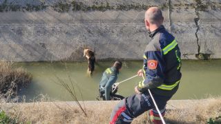 Guardia Civil y bomberos se movilizan para salvar a un perro en Toledo: "Sois muy grandes"