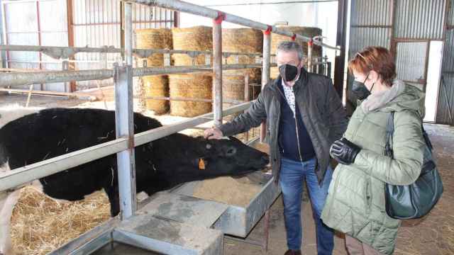 Manuel Fuentes y Conchi Trufero visitan una ganadería