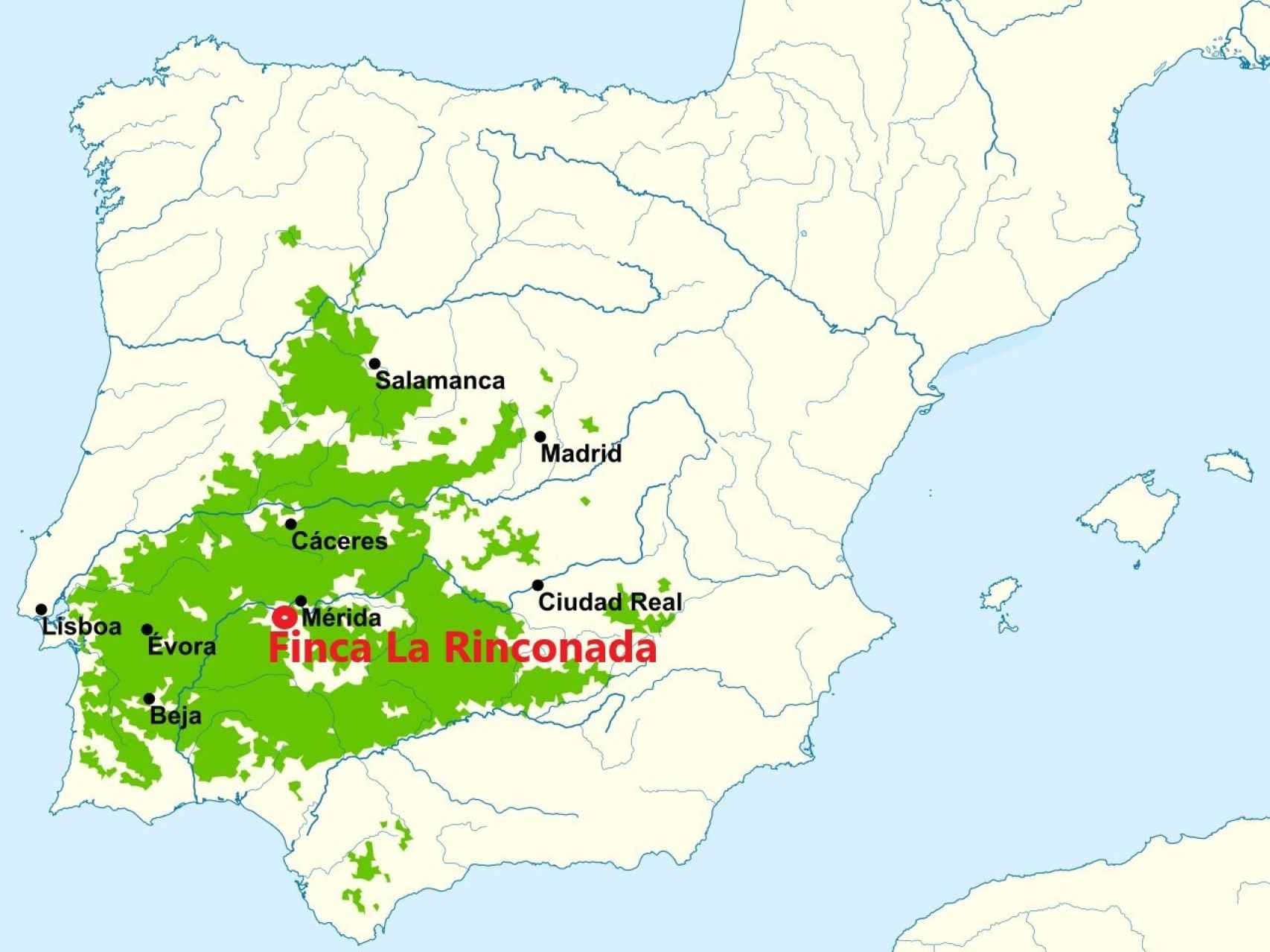 La extensión de la dehesa mediterránea perenne en España y Portugal y la ubicación de la finca de Pía Sánchez.