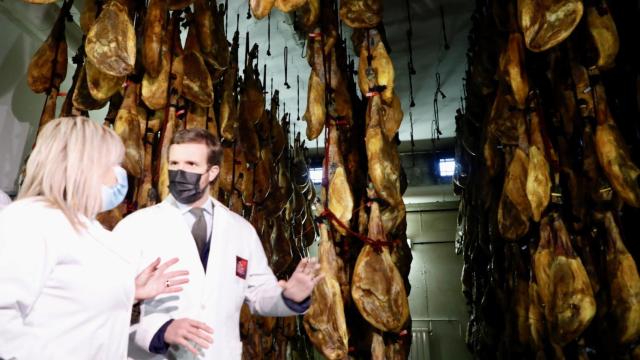 El presidente del Partido Popular, Pablo Casado, visita, la fábrica de embutidos Don Ibérico de Guijuelo