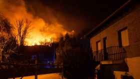 Incendio forestal en Monsagro (Salamanca)