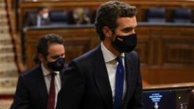 El presidente nacional del PP, Pablo Casado.