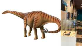 Recreación del dinosaurio y, a la derecha, la pieza expuesta en el MUPE.