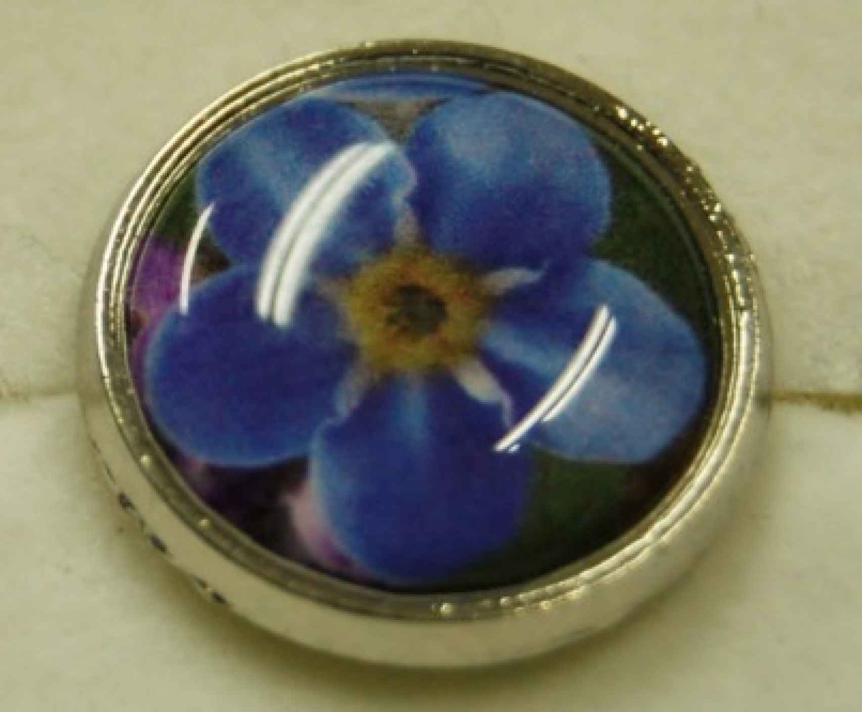 Pin con la flor azul nomeolvides ('Myosotis'), símbolo masónico.