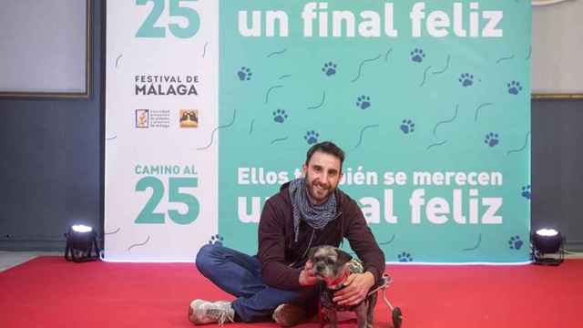 Los perros y gatos serán estrellas por un día en el Festival de cine de Málaga.