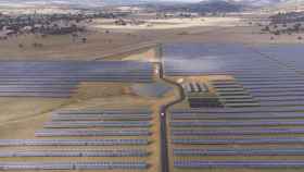 Renovables por España. Un ‘rebaño solar’ para cuidar de las plantas fotovoltaicas en Ciudad Real