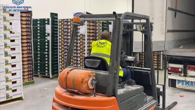 Entrega de pimientos y tomates a un banco de alimentos de Málaga.