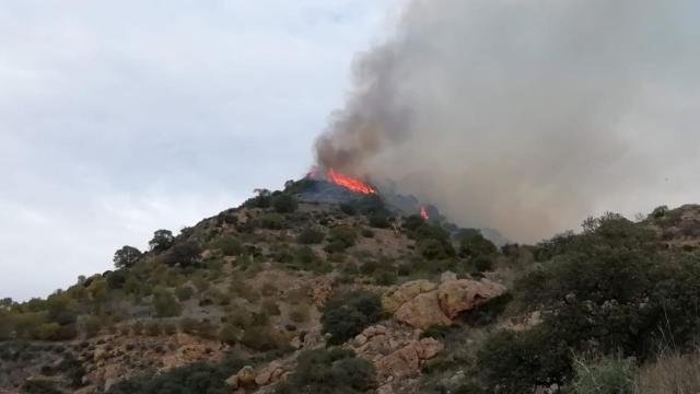 Declarado un incendio en el paraje Matagalla, en Almogía.