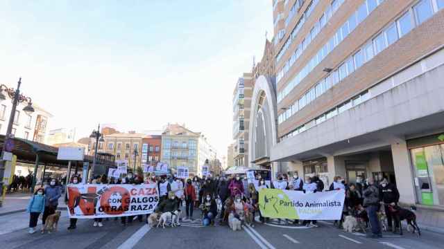 La Plataforma NAC (No a la Caza) convoca una manifestación en Valladolid coincidiendo con el fin de la temporada de caza para denunciar el uso que se hace de los perros y exigir el fin de esta actividad