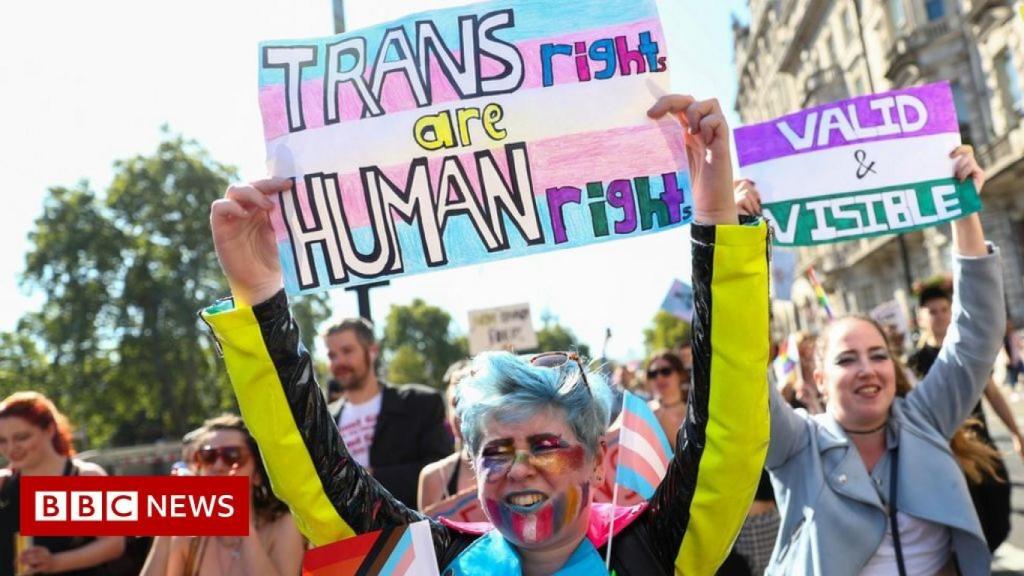 Manifestación trans.