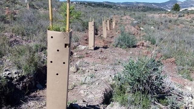 El protector, en el campo.