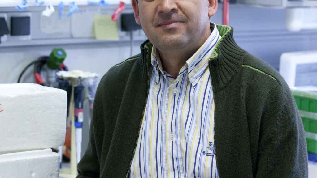 Isidro Sánchez-García, del Centro de Investigación del Cáncer (CISC-Universidad de Salamanca).