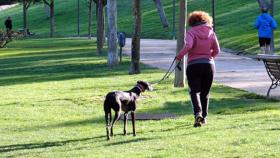 Una mujer pasea con su perro por un parque.