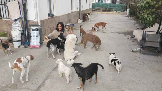 Pepa Teneroi ojunto a los 16 perros que tiene en su casa.