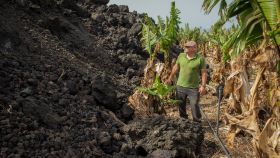 Pablo, medianero de la finca de las Dominicas, afectada en parte por la lava.
