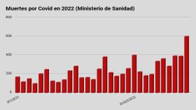 Muertes por Covid en 2022, según los datos diarios aportados por el Ministerio de Sanidad.