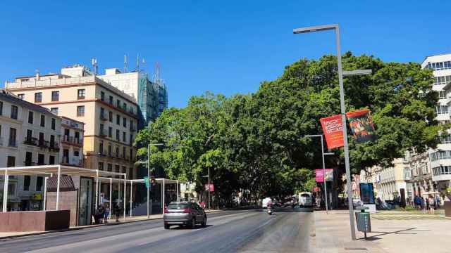 Calzada central de la Alameda Principal de Málaga.