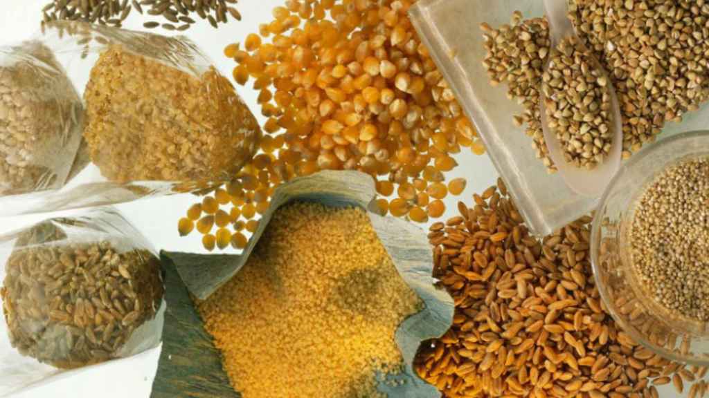La quinoa se cuenta entre los pseudo-cereales.