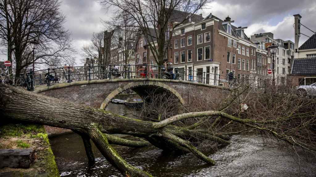 Un árbol caído en el centro de Ámsterdam, Países Bajos.