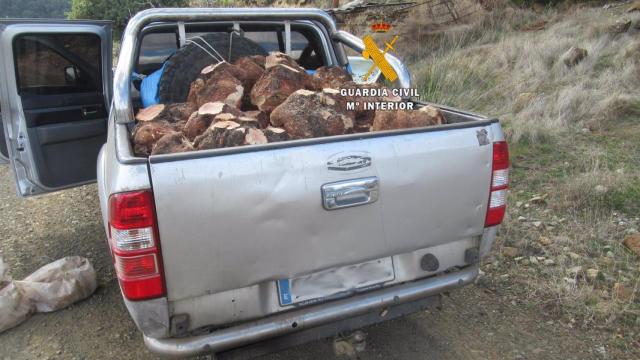 Vehículo con las cepas de brezo cortadas ilegalmene en el Parque Nacional Sierra de las Nieves.