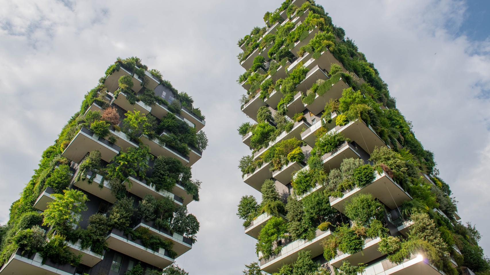 Cómo diseñar un jardín vertical natural, según dos paisajistas - Foto 1