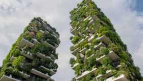 Vista de unos edificios con jardines verticales en Milán (Italia)