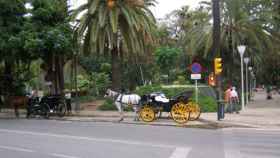 Imagen de archivo de varios coches de caballo en el Paseo del Parque de Málaga.