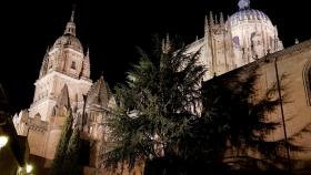 Catedral de Salamanca