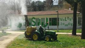 Fumigación en el bosque de Valorio en Zamora