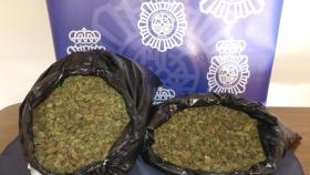 Alijo de marihuana intervenido en Aranda de duero