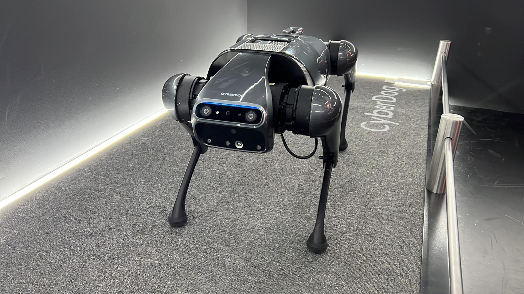 Xiaomi, CyberDog, el perro robot que se paseó por Lima sin correa ni bozal, Robots, Especificaciones, Características, Precio, españa, méxico, USA, TECNOLOGIA