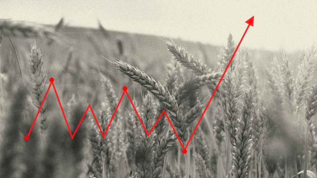 El trigo y el maíz se encarecen como consecuencia de la guerra en Ucrania.