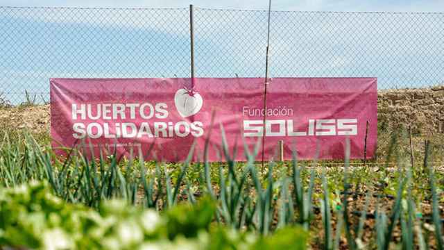 Los huertos de la Fundación Soliss disparan su demanda por la situación actual