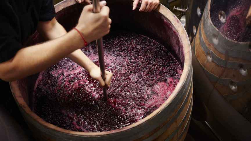 La revolución del vino ecológico, o cuando la sostenibilidad echa raíces en los viñedos