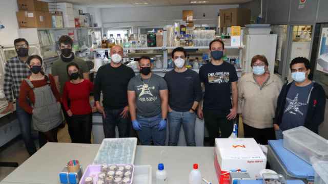 Brágimo / ICAL . El investigador Julio Diez Casero(4I) junto al equipo de investigadores en el laboratorio de plagas y enfermedades foretales de la UVa del campus de Palencia
