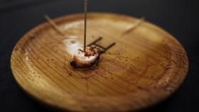 Un trozo de pulpo solitario en un plato.