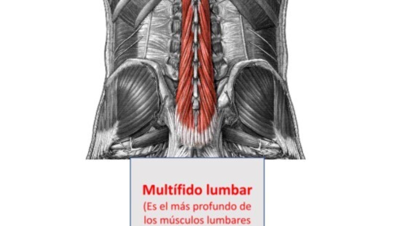 https://s1.eestatic.com/2022/03/18/actualidad/658194516_222800285_1706x960.jpg