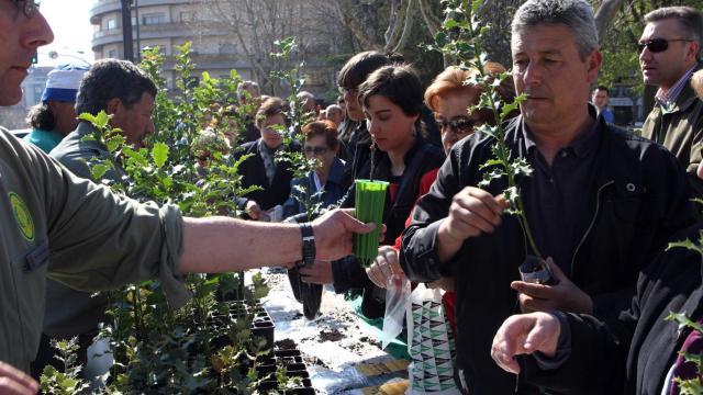 Foto: Archivo. Reparto de retoños de árboles en Zamora con motivo del Día del Árbol