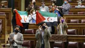 Podemos exhibe banderas saharauis en el Congreso.