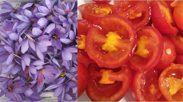 Crean en Castilla-La Mancha el 'tomafrán', el superalimento que previene el Alheimer