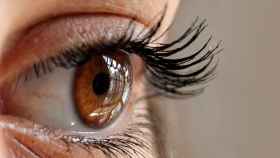 La retina se encuentra en la parte posterior del globo ocular.