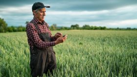 Un hombre mirando su teléfono móvil en mitad de un campo de cultivo.