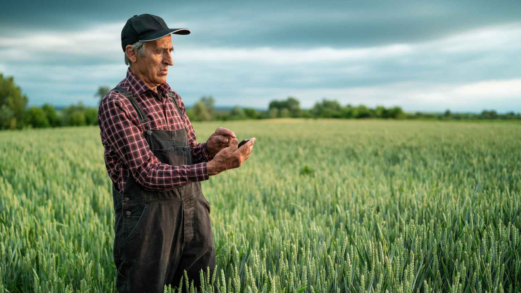 Una persona mayor mirando su teléfono móvil en el campo.