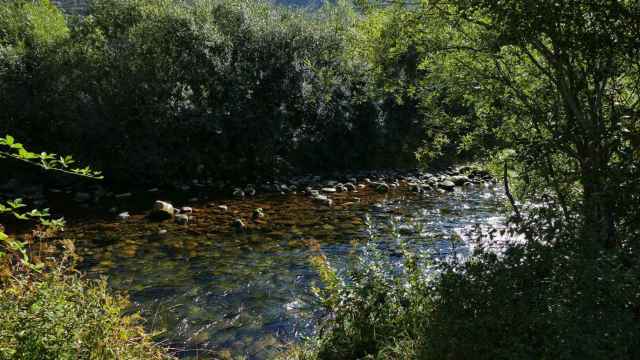 El río Carrión a su paso por la ruta de los Pescadores en Palencia