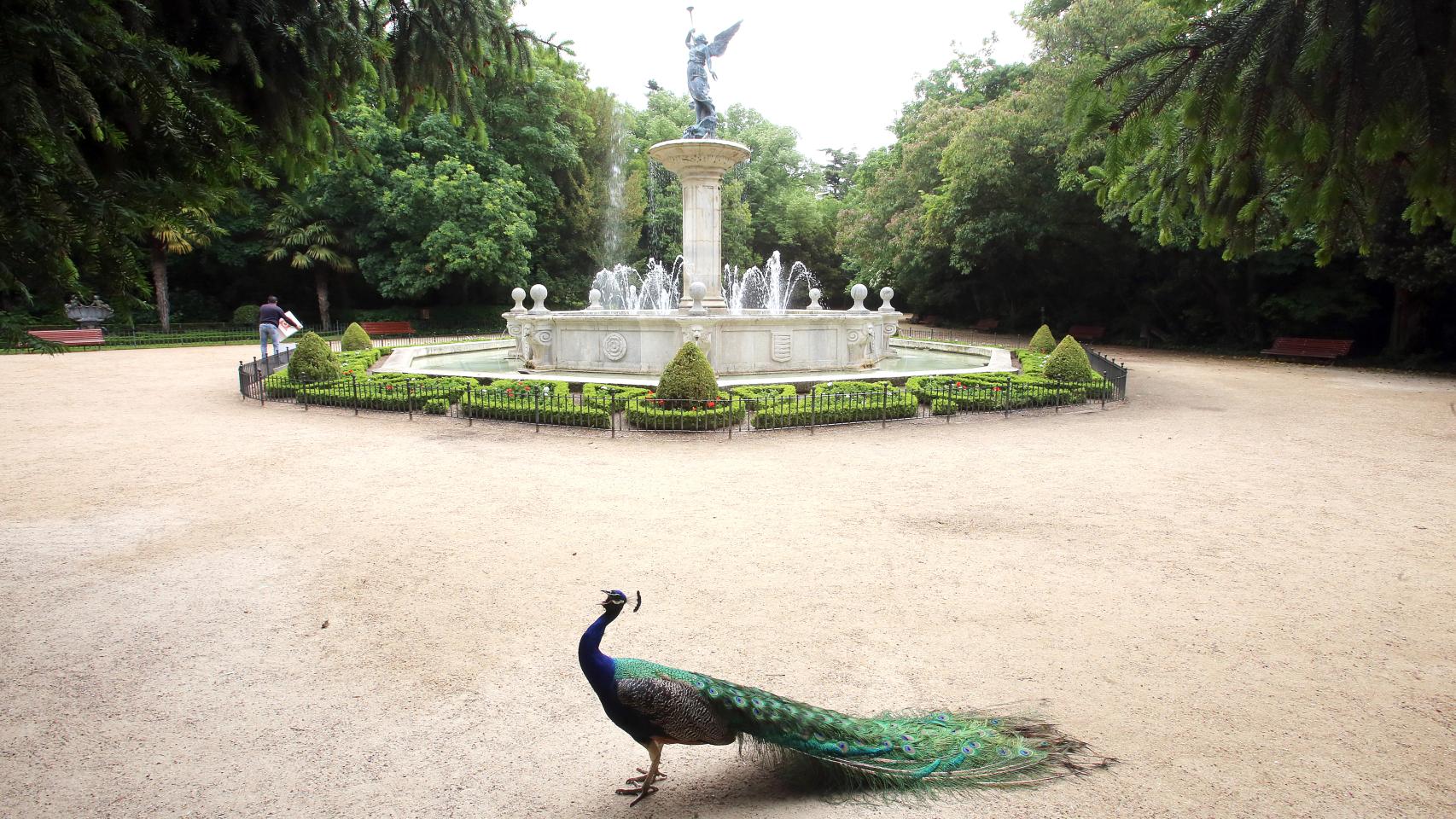 El Campo Grande de Valladolid un paraíso terrenal con más de 100
