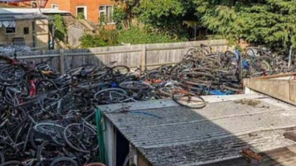 Bikes in the yard