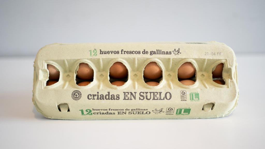 Los mejores huevos del súper según el 'doctor' Rubén: Lidl, Alcampo,  Mercadona, Dia