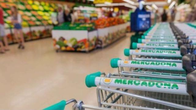 Hilera de carritos en Mercadona.