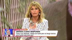 Ortega Cano intervino por teléfono en 'Viva la vida' para defender a su mujer.